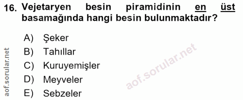 Soru 16