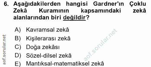 Soru 6