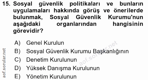 Soru 15