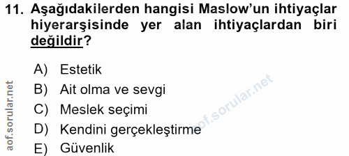 Soru 11