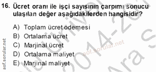 Soru 16