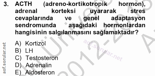 Soru 3