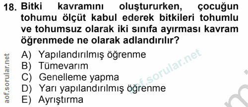 Soru 18