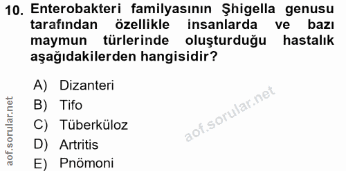 Soru 10