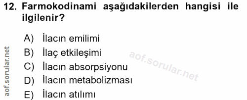 Soru 12
