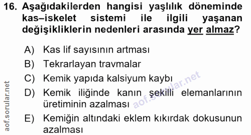 Soru 16