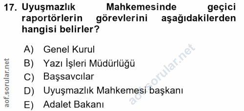 Soru 17
