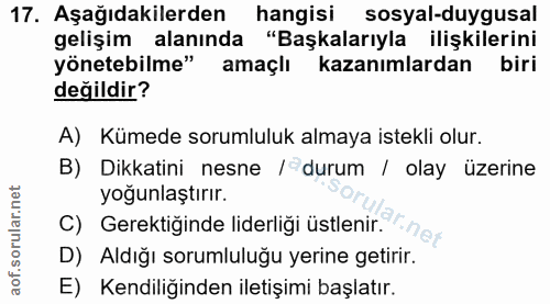 Soru 17