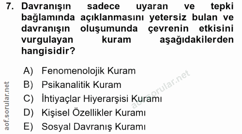 Soru 7