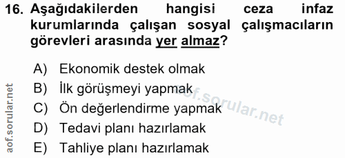 Soru 16
