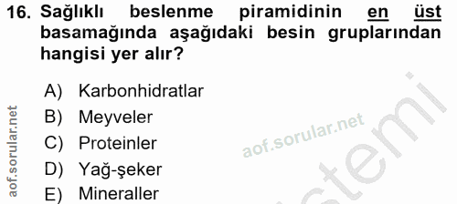 Soru 16