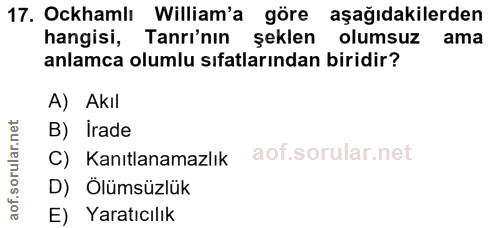 Soru 17