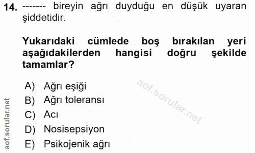 Soru 14