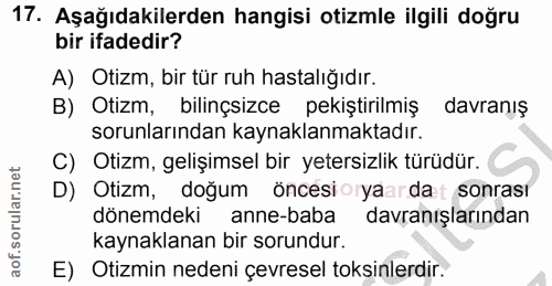 Soru 17