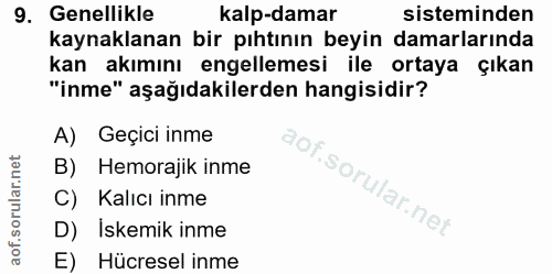 Soru 9