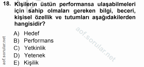 Soru 18