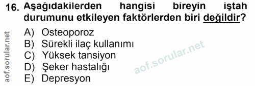 Soru 16
