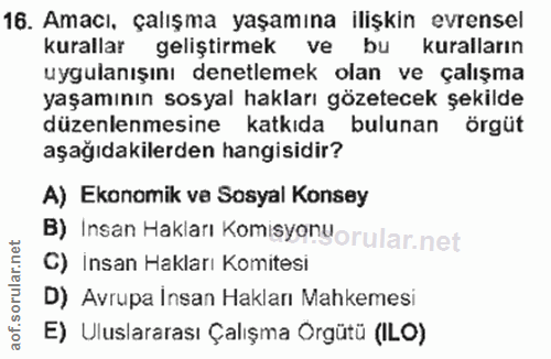 Soru 16