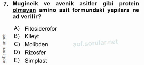 Soru 7