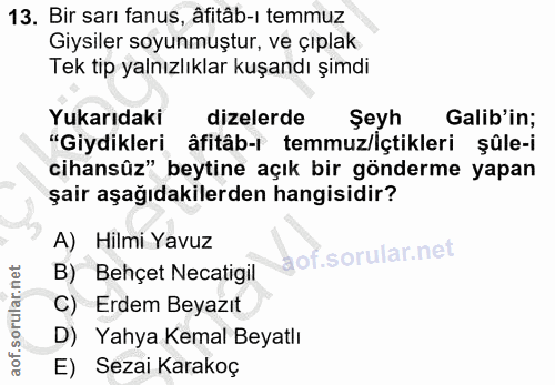 Soru 13