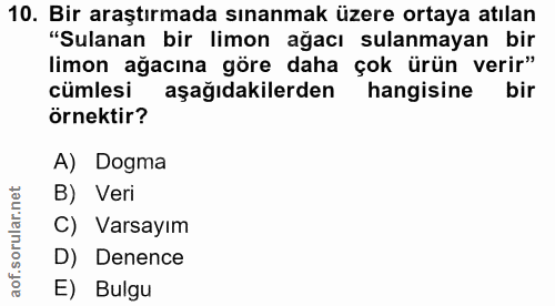 Soru 10