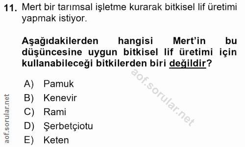 Soru 11