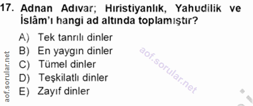 Soru 17