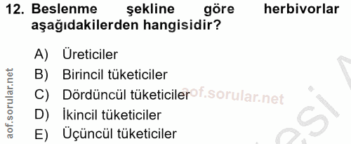 Soru 12