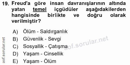 Soru 19