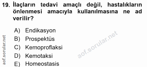 Soru 19