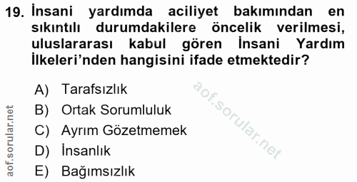 Soru 19