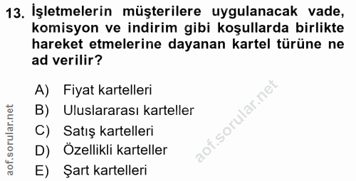 Soru 13