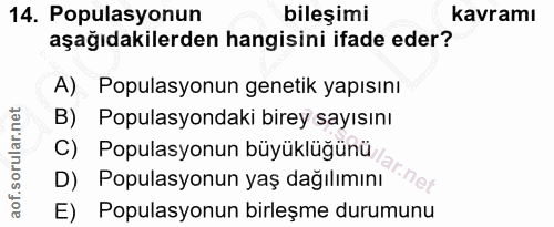 Soru 14