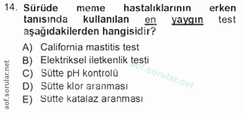 Soru 14