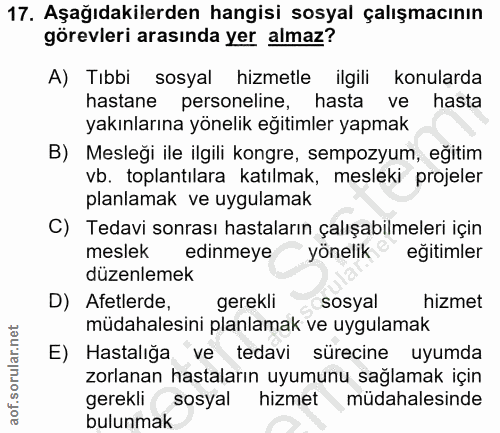 Soru 17