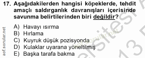 Soru 17