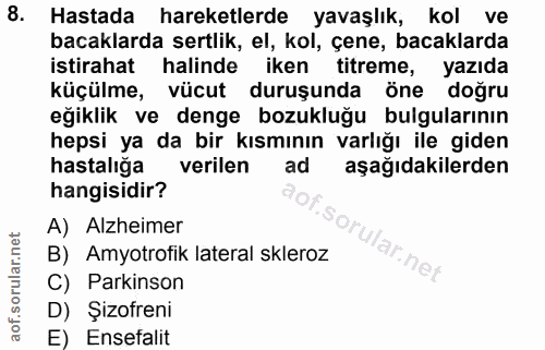 Soru 8