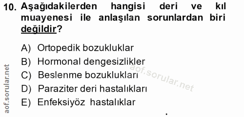 Soru 10