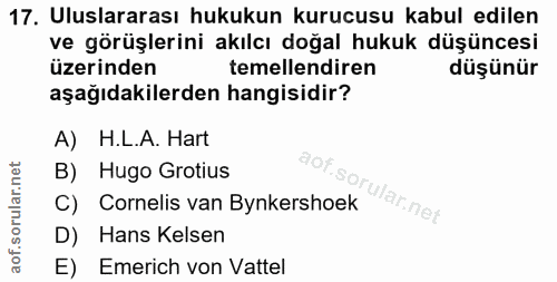 Soru 17