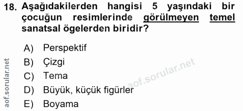 Soru 18