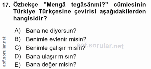 Soru 17