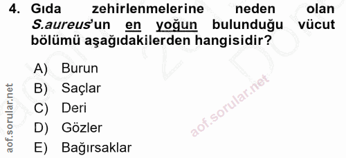 Soru 4
