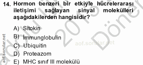Soru 14