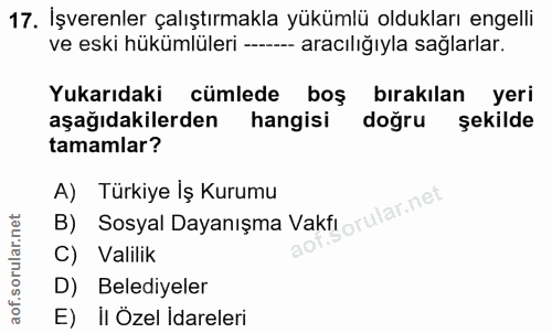Soru 17