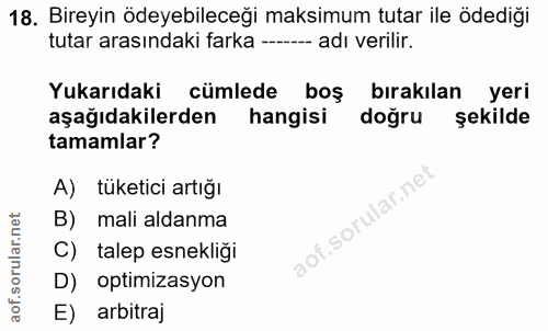 Soru 18