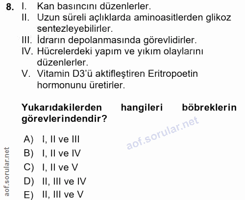 Soru 8
