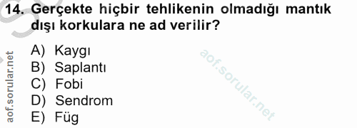 Soru 14