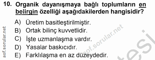 Soru 10