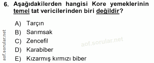 Soru 6