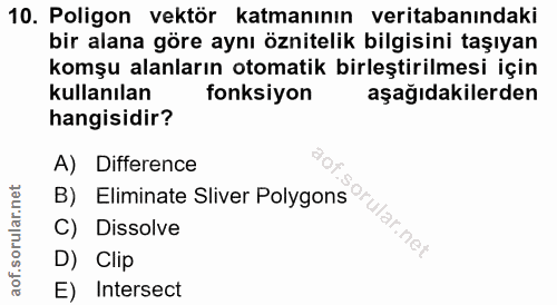 Soru 10